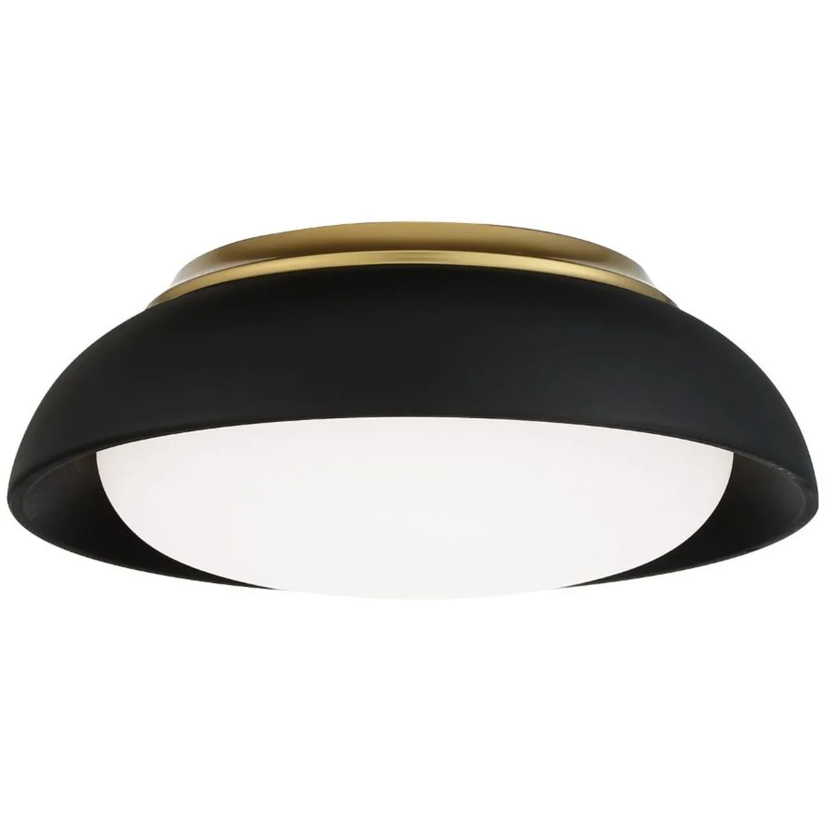 12 in. LED Flush Mount Light
