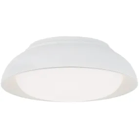 12 in. LED Flush Mount Light