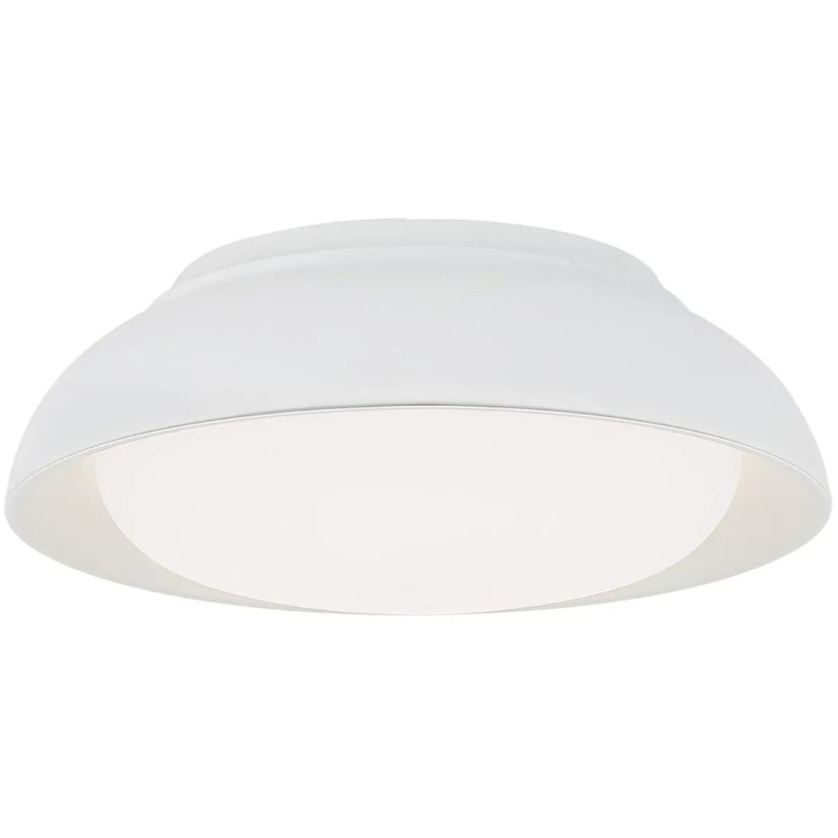 12 in. LED Flush Mount Light