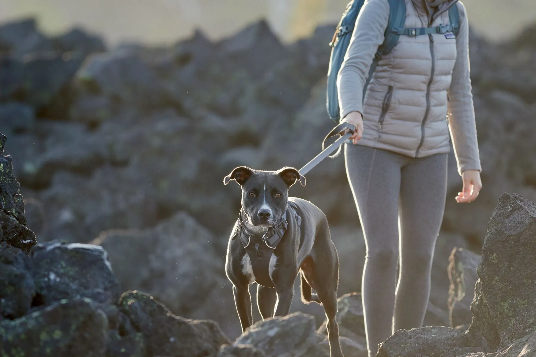 Front Range™ Dog Leash