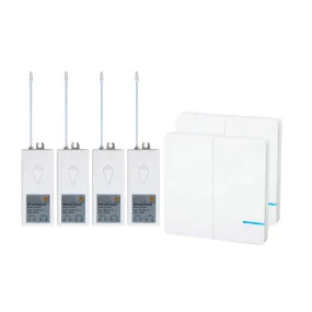 Nineleaf Smart WiFi Light Switch, Wall Smart Switch Phone Remote Control Lights and Appliances Compatible with Alexa, Google Home, Timing Function 2X 2-Way Wireless Wall Switch   4X 220V Receiver