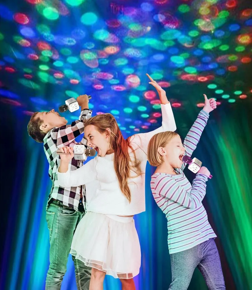 Party2-Go Black Karaoke Mic Disco Ball Combo