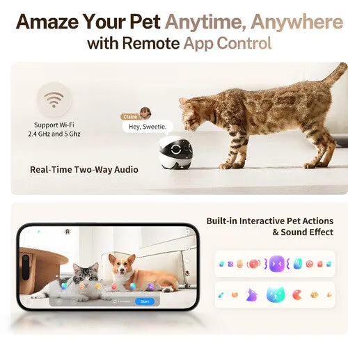 ROLA Mini Companion Robot