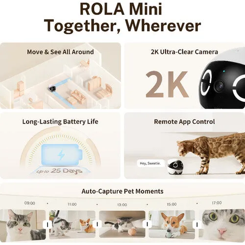 ROLA Mini Companion Robot