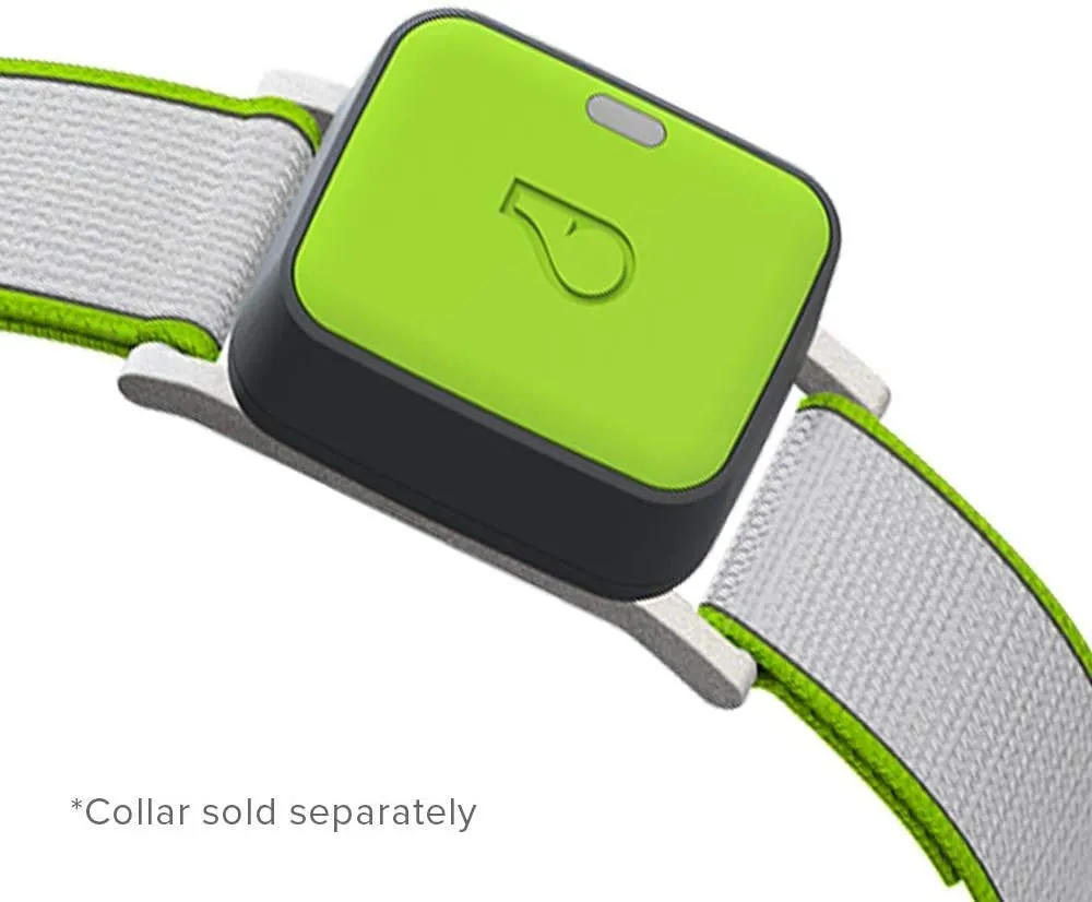 Ultimate Health & Location Tracker for Pets - Green