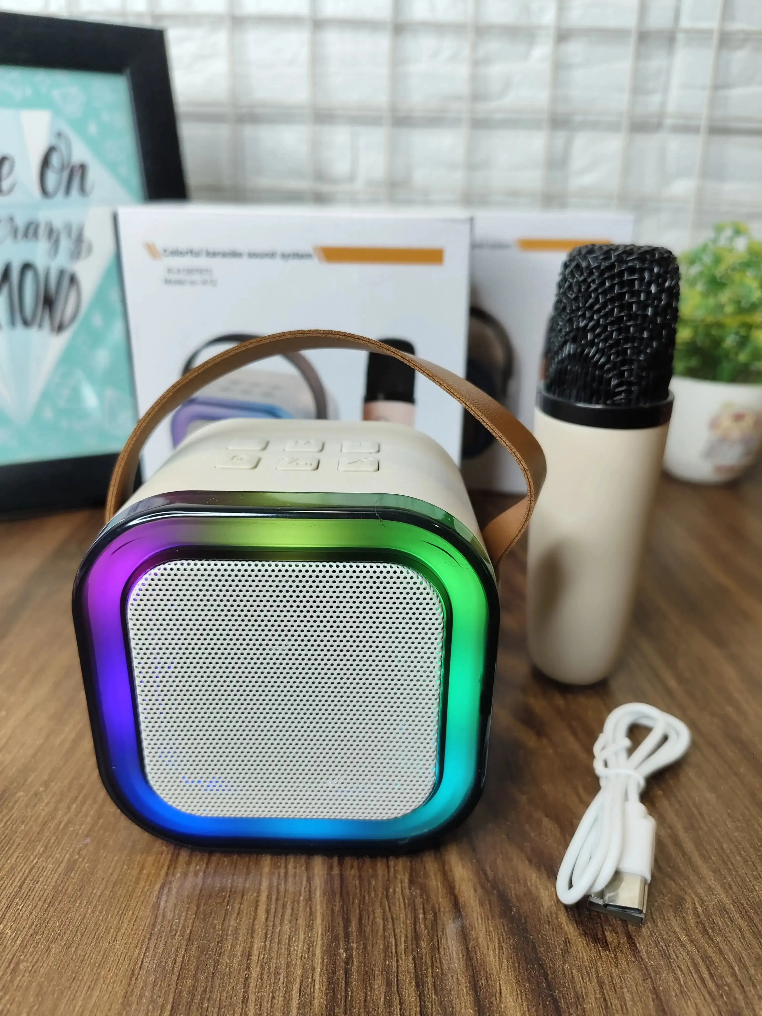 Wireless karaoke bluetooth speaker with mic