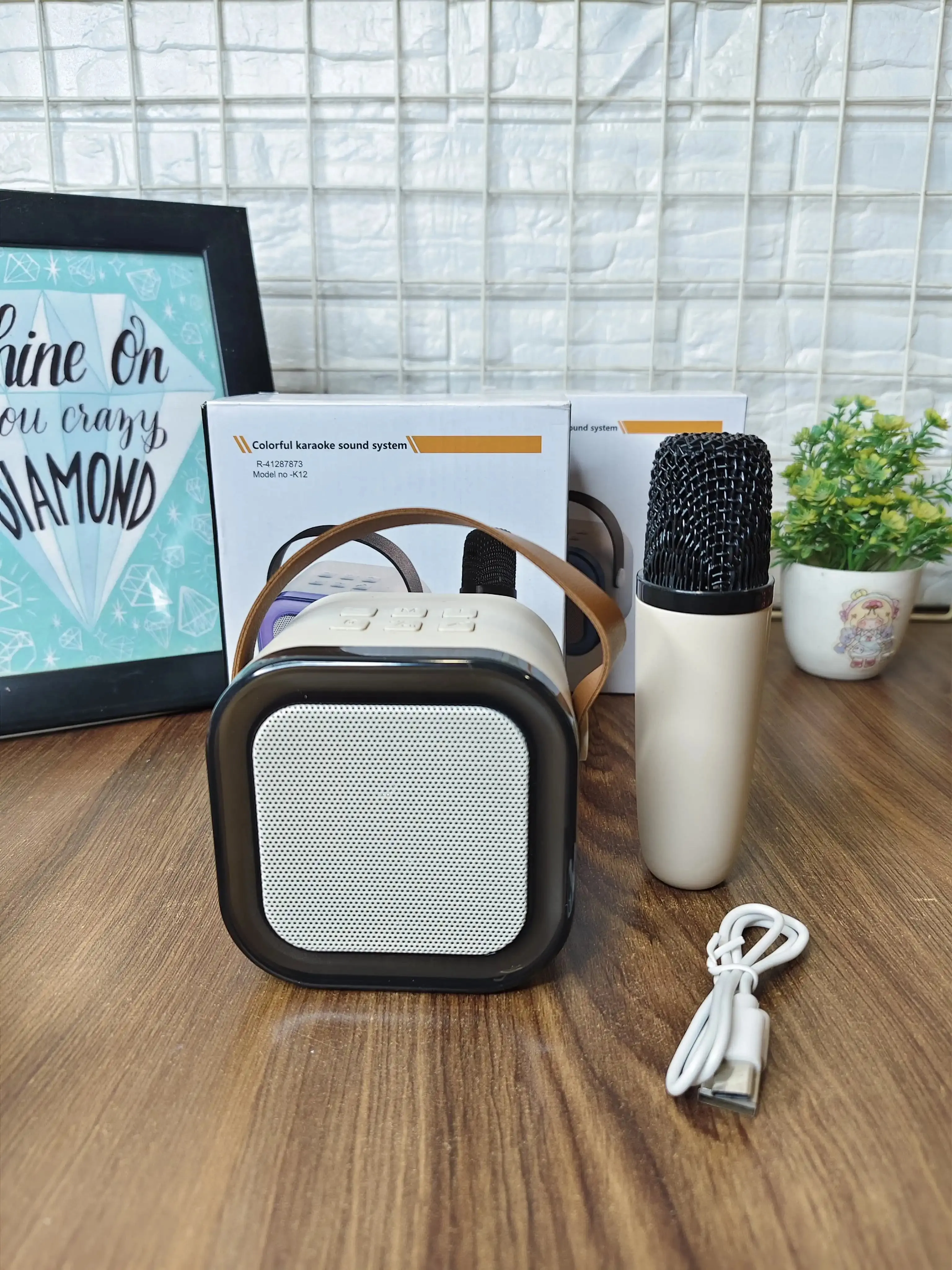 Wireless karaoke bluetooth speaker with mic